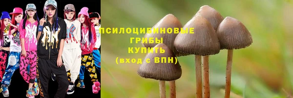 тгк Беломорск