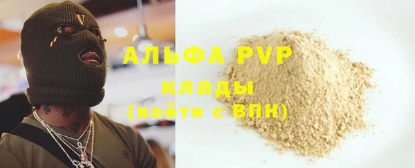 крисы Белокуриха