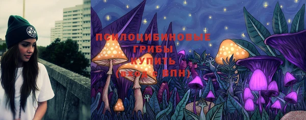 крисы Белокуриха