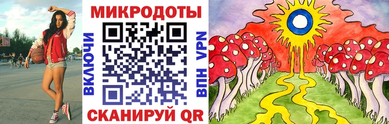 Псилоцибиновые грибы GOLDEN TEACHER  закладки  Новоалександровск 